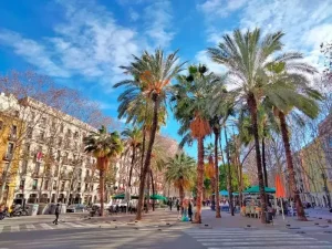 حي الرافال في برشلونة موقع مسابقة الكسكس 2025