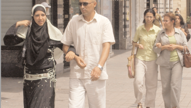 دفاع عن الشرعية وبناء إسلام مدني