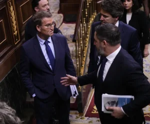 ألبرتو نونيث فييخو وعلاقته بحزب فوكس