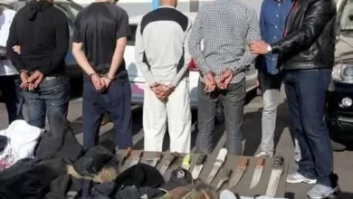 اعتقال عصابة اجرامية بفاس