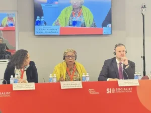 لجنة إفريقيا في الأممية الاشتراكية تدعم التسوية السياسية